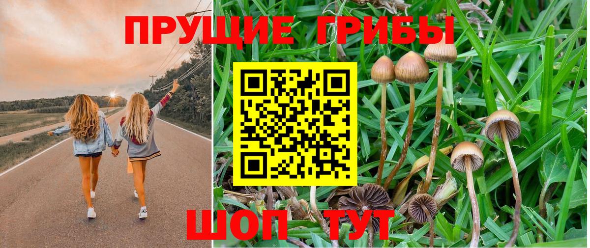 Галлюциногенные грибы ЛСД  Вход с VPN  как найти закладки  Рославль 