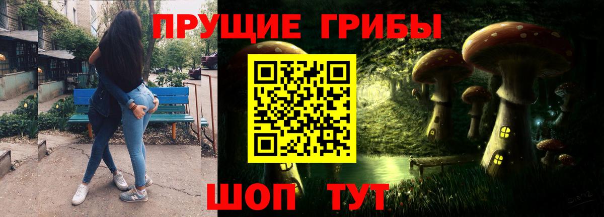 Псилоцибиновые грибы GOLDEN TEACHER Рославль